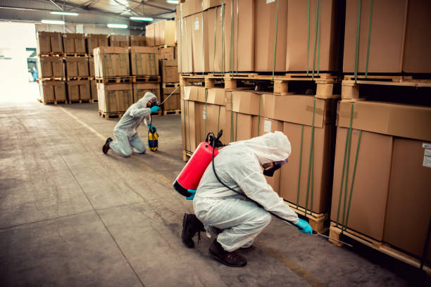 Trusted Hutchinson, MN Pest Control Experts