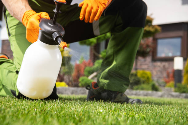 Best Affordable Pest Control Services  in Hutchinson, MN