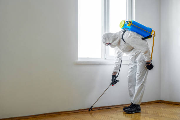 Best Commercial Pest Control Services  in Hutchinson, MN