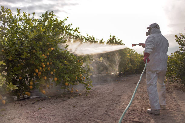 Best Pest Control Near Me  in Hutchinson, MN