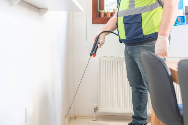 Best Flea Control Services  in Hutchinson, MN