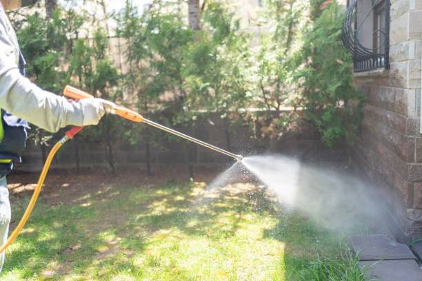 Best Pest Removal Services  in Hutchinson, MN