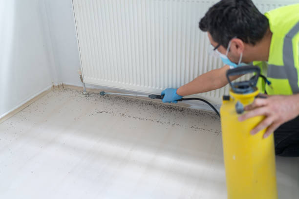 Best Commercial Pest Control Services  in Hutchinson, MN